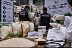 Kementan Ungkap 25 Merek Beras Fortifikasi Diduga Bermasalah, Satgas Pangan Turun Tangan