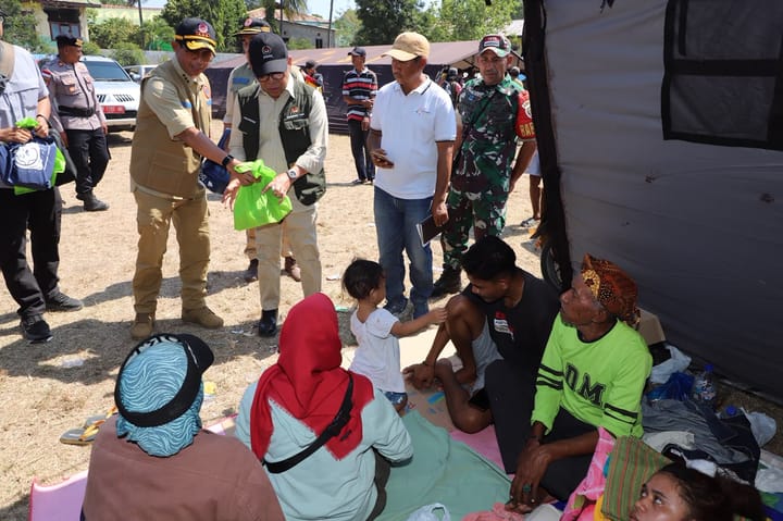 Pratikno Minta Satgas Gempa Flores Segera Dibentuk
