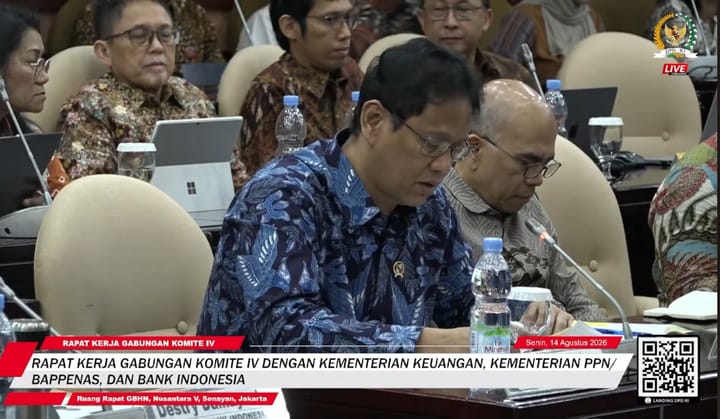 Pagi Paparan di DPD RI, Sore Purbaya Diganti Suahasil