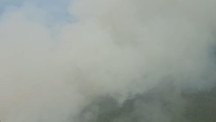 API KEPUNG SEMBILANG, KAWASAN KONSERVASI DALAM BAHAYA