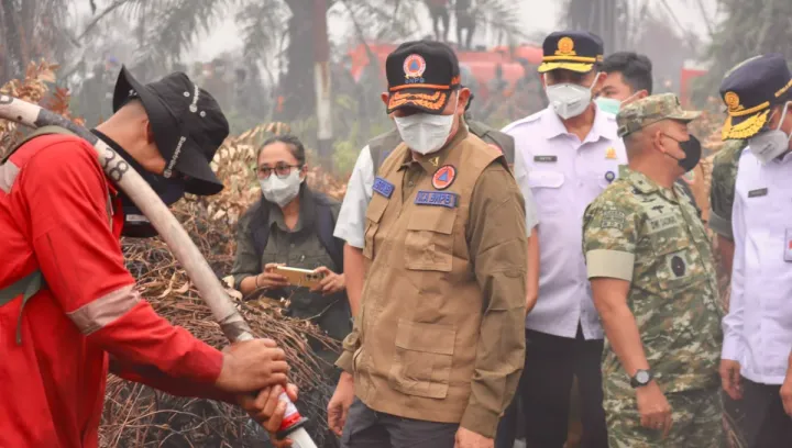 Kepala BNPB dan Kasad Tinjau Karhutla di Pulang Pisau, Koordinasi Diperkuat