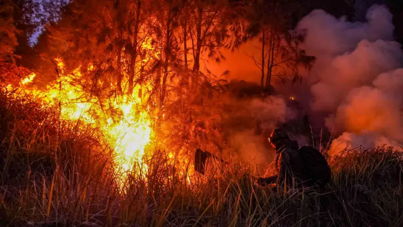 Urgensi Karhutla Kalimantan Kembali Mengemuka: Sederet Artis dan Influencer Angkat Suara